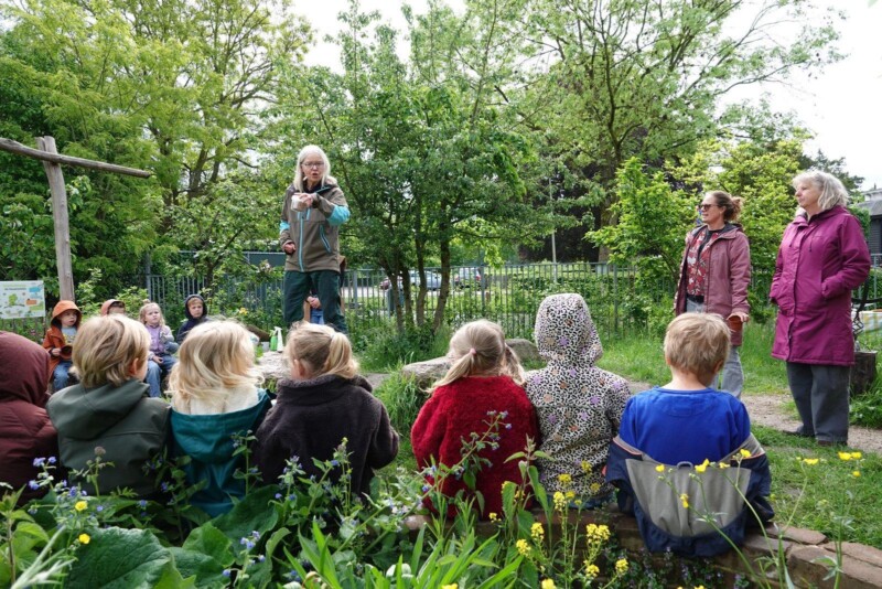 Zaaien Oost-Indische kers met Hovenschool